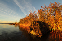 Drijvende schuilhut