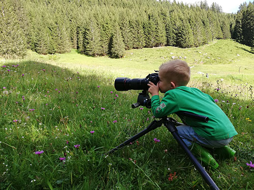 Vlinderfotograaf in actie.