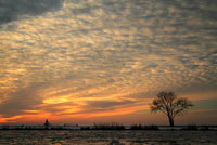 Arkemheen polder