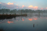 Hazenputten
