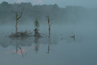 Hazenputten