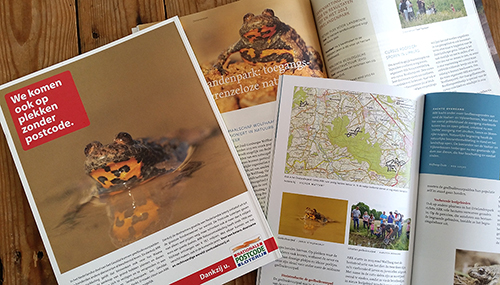 Geelbuikvuurpad | Bombina variegata in tijdschriften