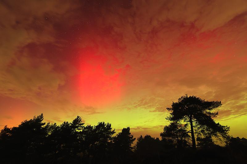 Mooiste Noorderlicht, Aurora borealis, in Nederland 2026, allertijden.