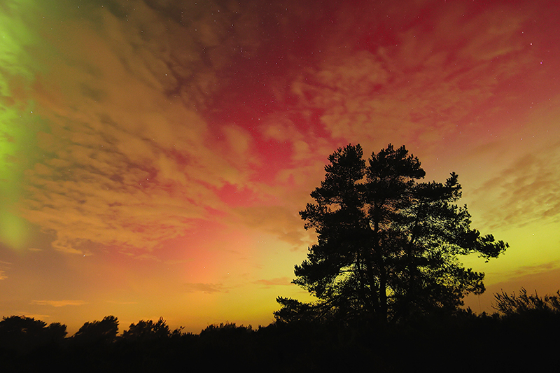 Mooiste Noorderlicht, Aurora borealis, in Nederland 2026, sinds jaren.