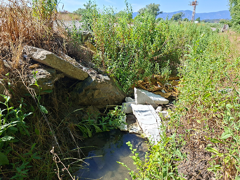 Habitat Turkse rombout | Gomphus schneiderii in Turkije.
